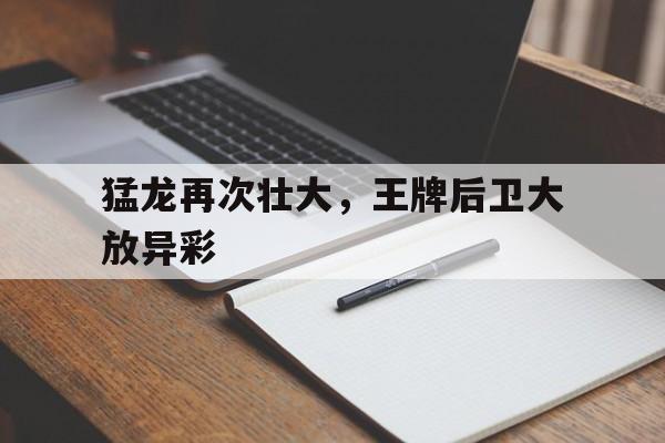 登录入口-大放异彩之类夸赞的词