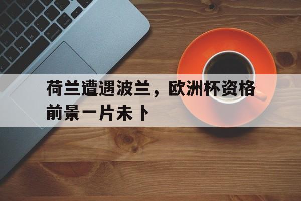 棋牌-欧冠荷兰对波兰